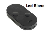 télécommande came topd2